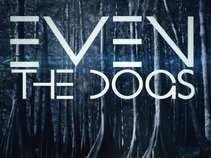 Even The Dogs