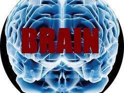 ReverbNation profile picture for @brains