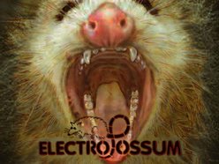 Image for ElectroPossum
