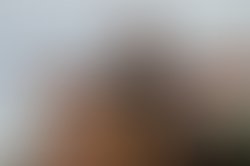 1444992546 701358016659352 8715228119951538196 o