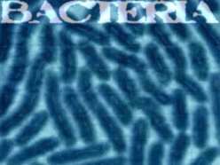 ReverbNation profile picture for @bacteria