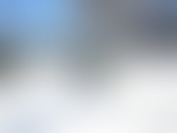 1391408589 artist 445069 1391408580