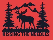 Kissing the Needles