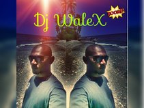 ✪Dj WaleX™