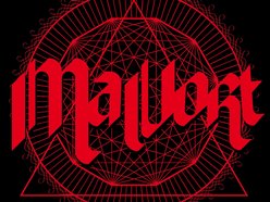MAVORT