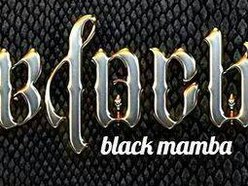 Image for The Black Mamba