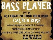 Calyca Rose