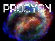 Procyon