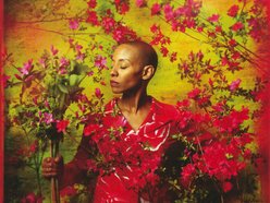 Image for Gail Ann Dorsey