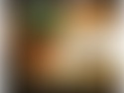 9757243f 682f 4daa a78a ec4ef1929f72 1087 0000012d5334807d