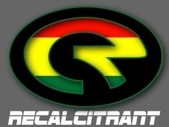 Image for Recalcitrant