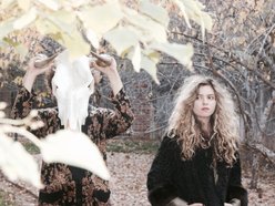 Image for The Velveteers