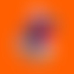 Magpic 20231222 204719964