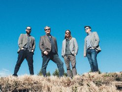 The Greenliners