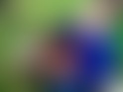 958303950 dsc 3131 3websize 1283309913 1283309937