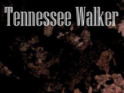 Image for Tennessee Walker