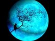 Blu Moonshine