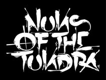 Nuns of the Tundra