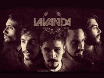 LAVANDA