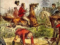 Schroedinger's Cathouse