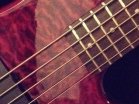 JD BASS