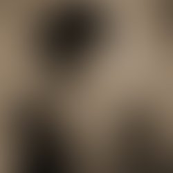 1380141133 al3rt 2013 new