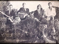 The JungleCats