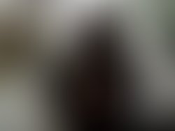 1442143733 artist 4513627 1442143713