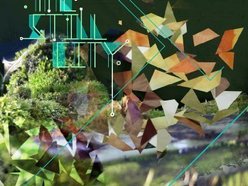 Image for The Still City