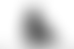 Lilanvintageblackwhite 77 of 142 