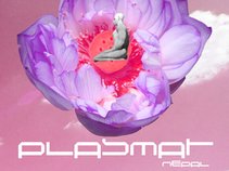 Plasmat