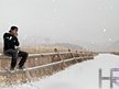 Hollidayrain