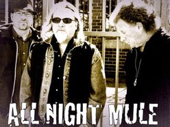 Image for All Night Mule
