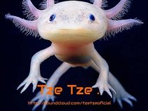 TZETZE