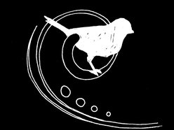 Image for Folkbirds