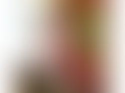 1417734387 watchingpeopleprofilecat2inverted