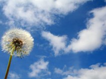 Dandelion Sky  (David Jon Peckinpaugh)