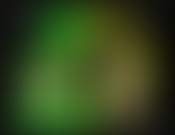 1452605808 born original