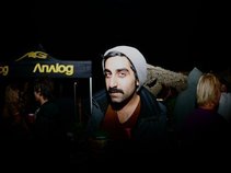 Collection of Dinosaurs