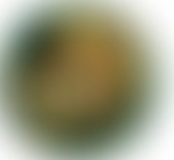 Be65394542a56b4d6e8cc1e50d81dd2d68cf6242