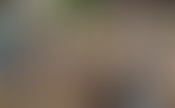 Canibals waiting for train for profile pic