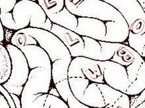 Vowel Bowel