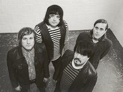 Image for The Reverberations