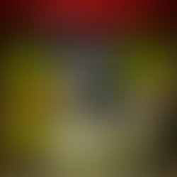 12313980 712132045553802 3250197039295367215 n