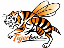 Tigerbee