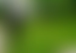 1450609547 reverend punk  grenze0001   kopie