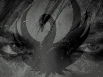 SWAN SEVERE AND THE TARGETS OF AGGRESSION