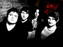 Image for Shoot The Freak