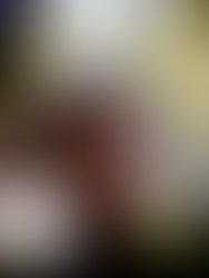 1419581151 artist 4579667 1419581133