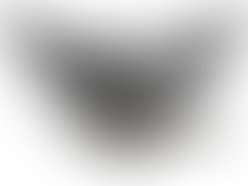 Divinci logo  high res  1300215494 1300215529